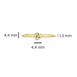 Knoten - PERDONA