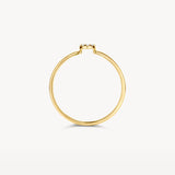 Ring mit Kreis aus Pavé-Zirkonia - PERDONA