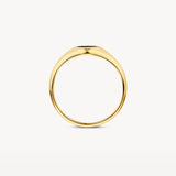 Ring mit eingelassenem Onyx - PERDONA