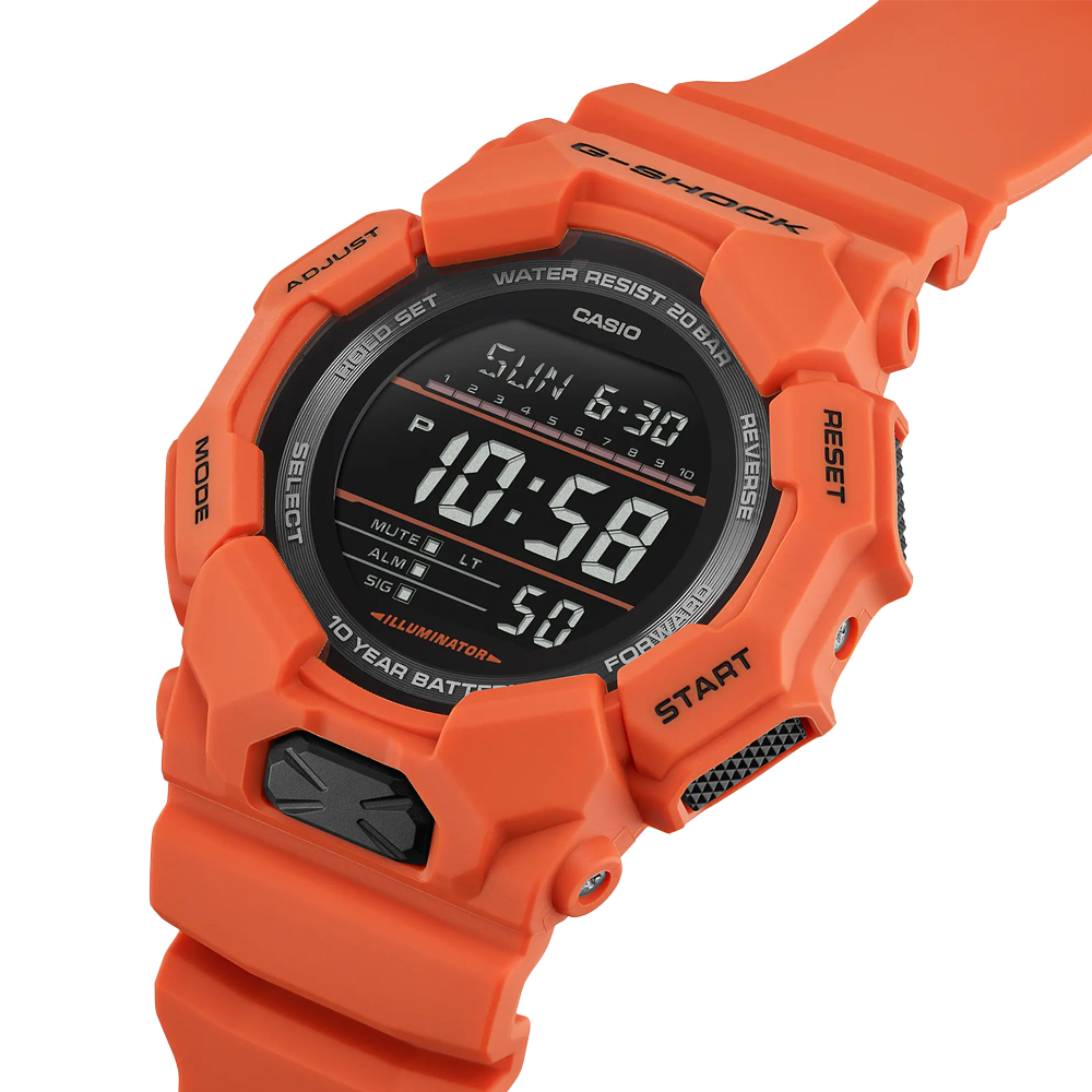 GD-010-4 - PERDONA