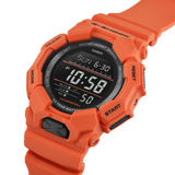GD-010-4 - PERDONA