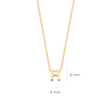 Gelbgoldenes H - PERDONA