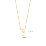 Gelbgoldenes N - PERDONA