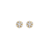 Ohrstecker Zirkonia 585 Gold - PERDONA