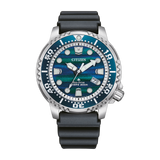 BN0167-09W - PERDONA