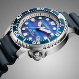 BN0167-09W - PERDONA