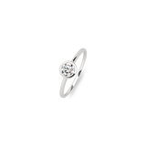 Zarge Ring - PERDONA