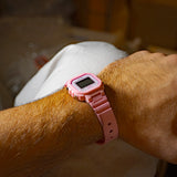 CASIO COLLECTION - PERDONA