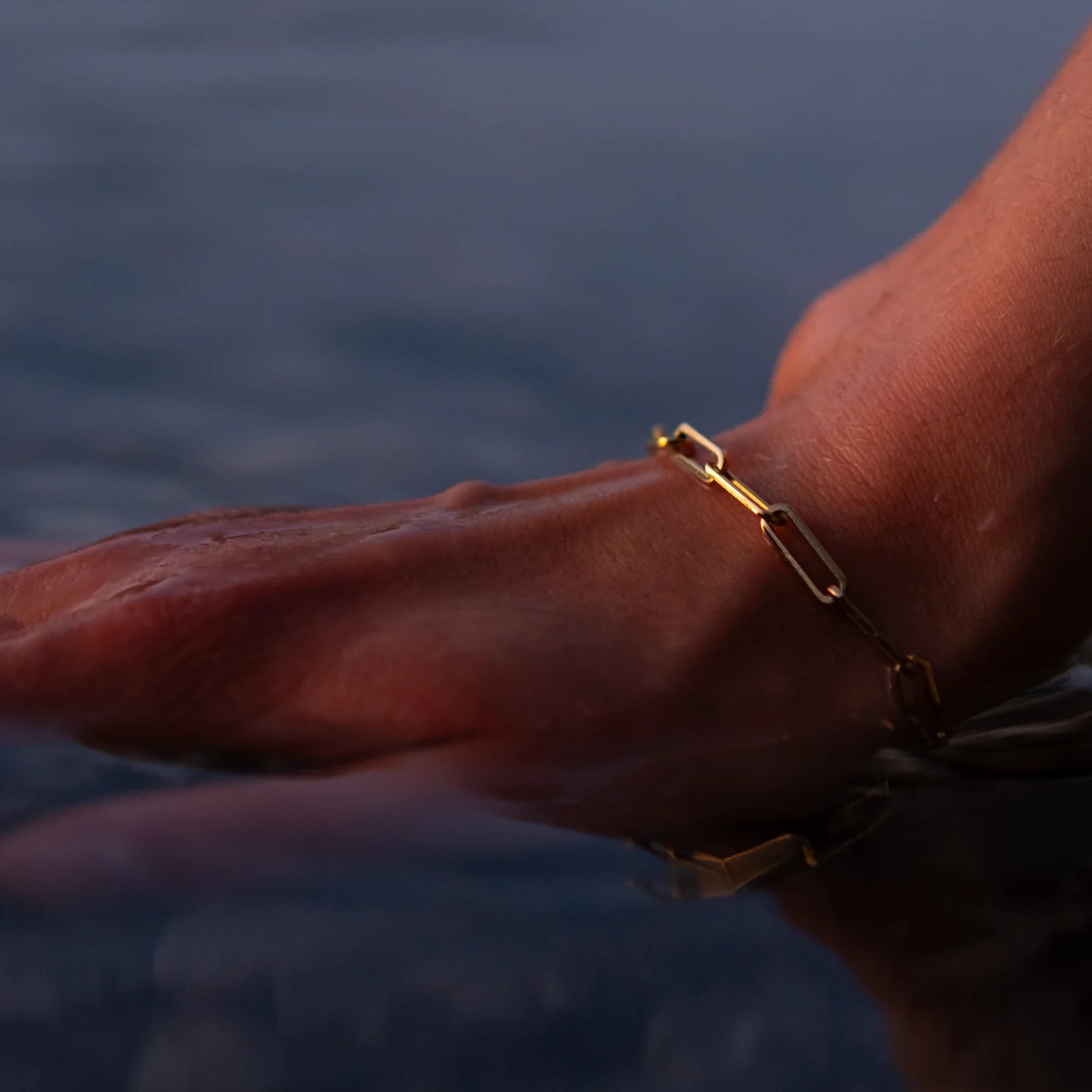 ANCHOR - PERDONA