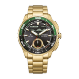 JV3002-51E - PERDONA