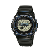 CASIO COLLECTION - PERDONA